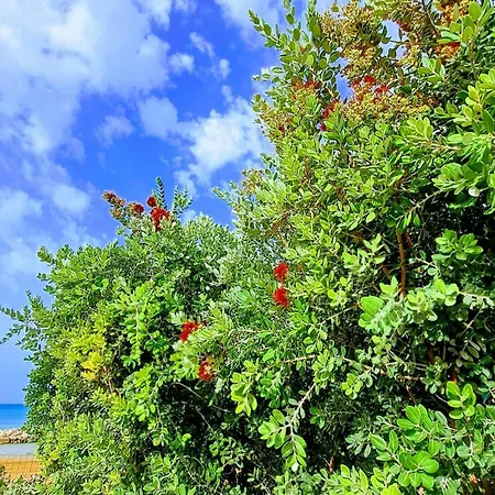 Casa vacanze Casasicula - Artemis House