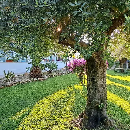 Casa vacanze Casasicula - Artemis House Pozzallo